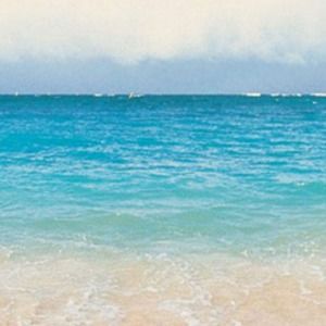 Meet your Posher, Louise